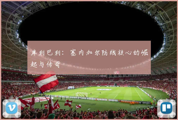 库利巴利：塞内加尔防线核心的崛起与传奇