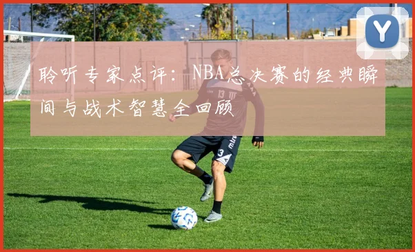 聆听专家点评：NBA总决赛的经典瞬间与战术智慧全回顾