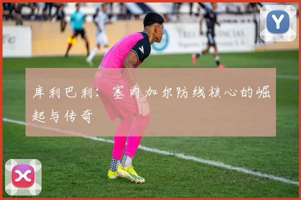 库利巴利：塞内加尔防线核心的崛起与传奇